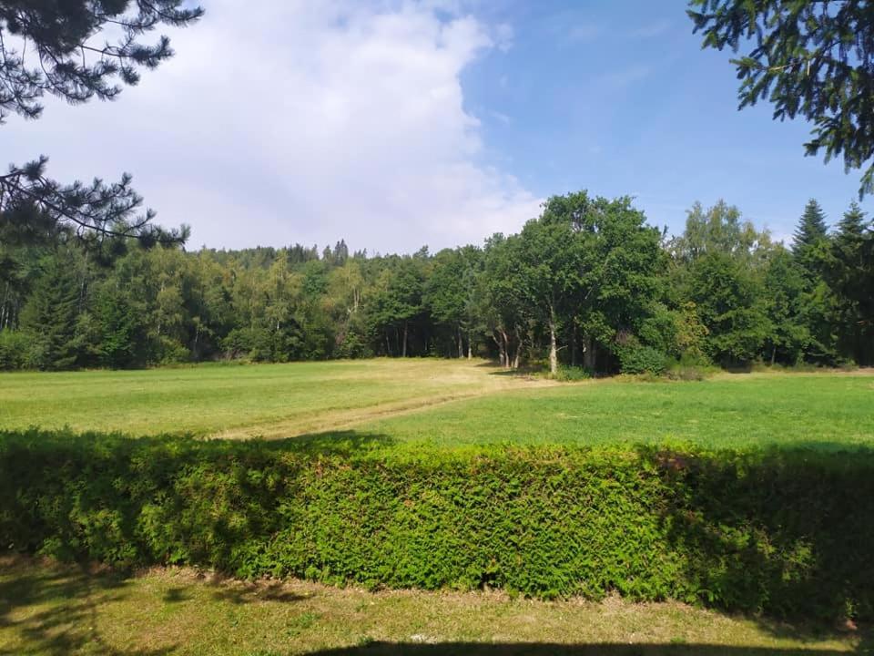 Chalet Du Spiemont Champdray Екстериор снимка