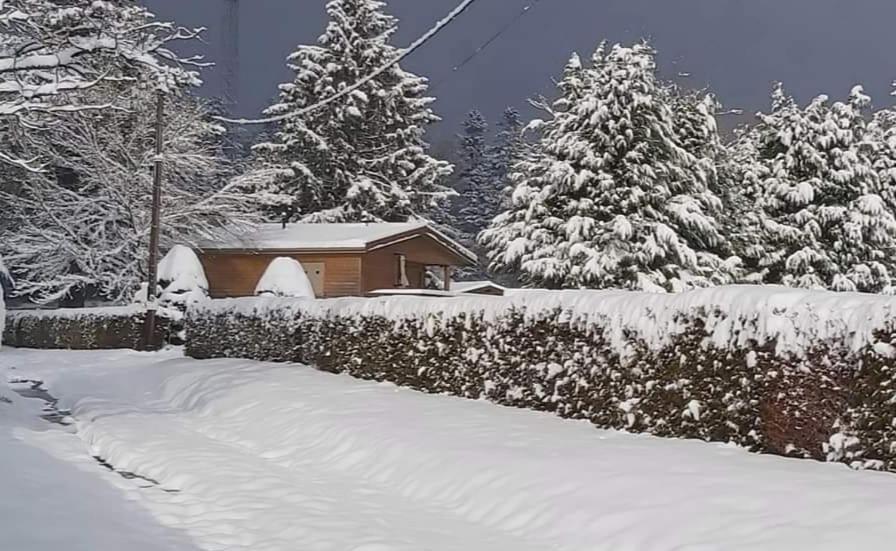 Chalet Du Spiemont Champdray Екстериор снимка