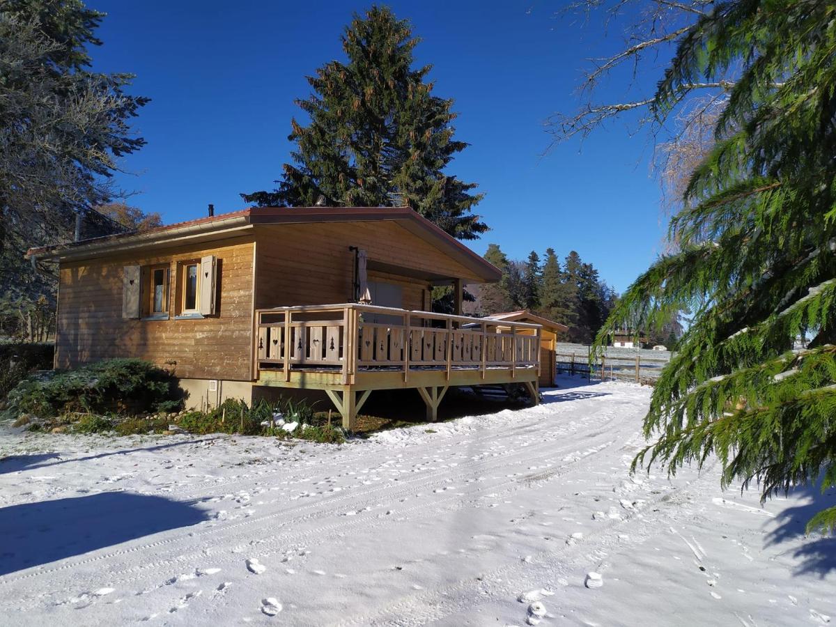 Chalet Du Spiemont Champdray Екстериор снимка